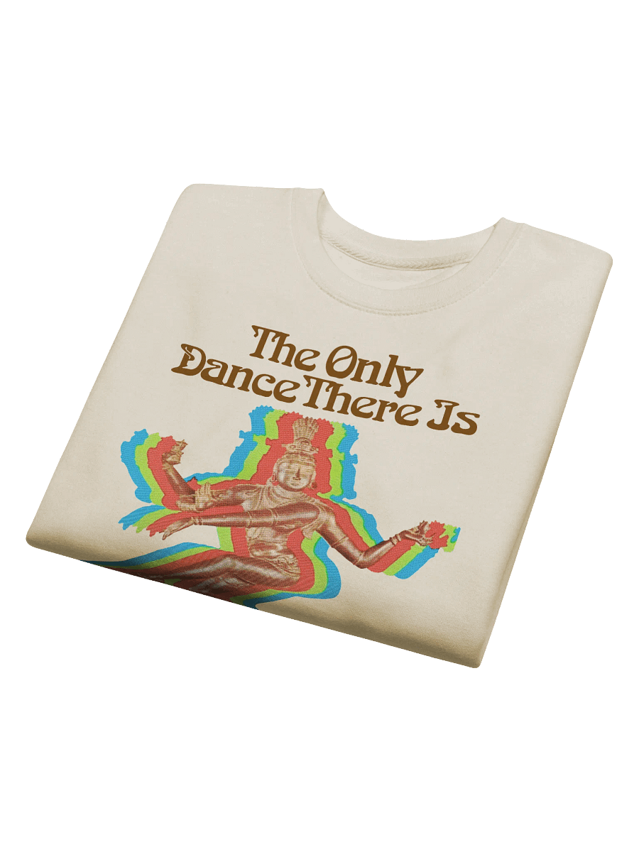 Ram Dass 70's Book Cover Crewneck Sweater (Cotton Heritage) product image (7)