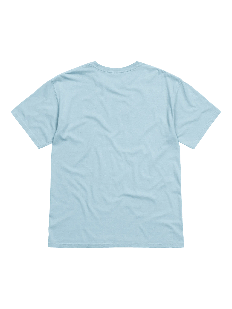 Limited Edition Embroidered Chazy blue T-shirt product image (4)