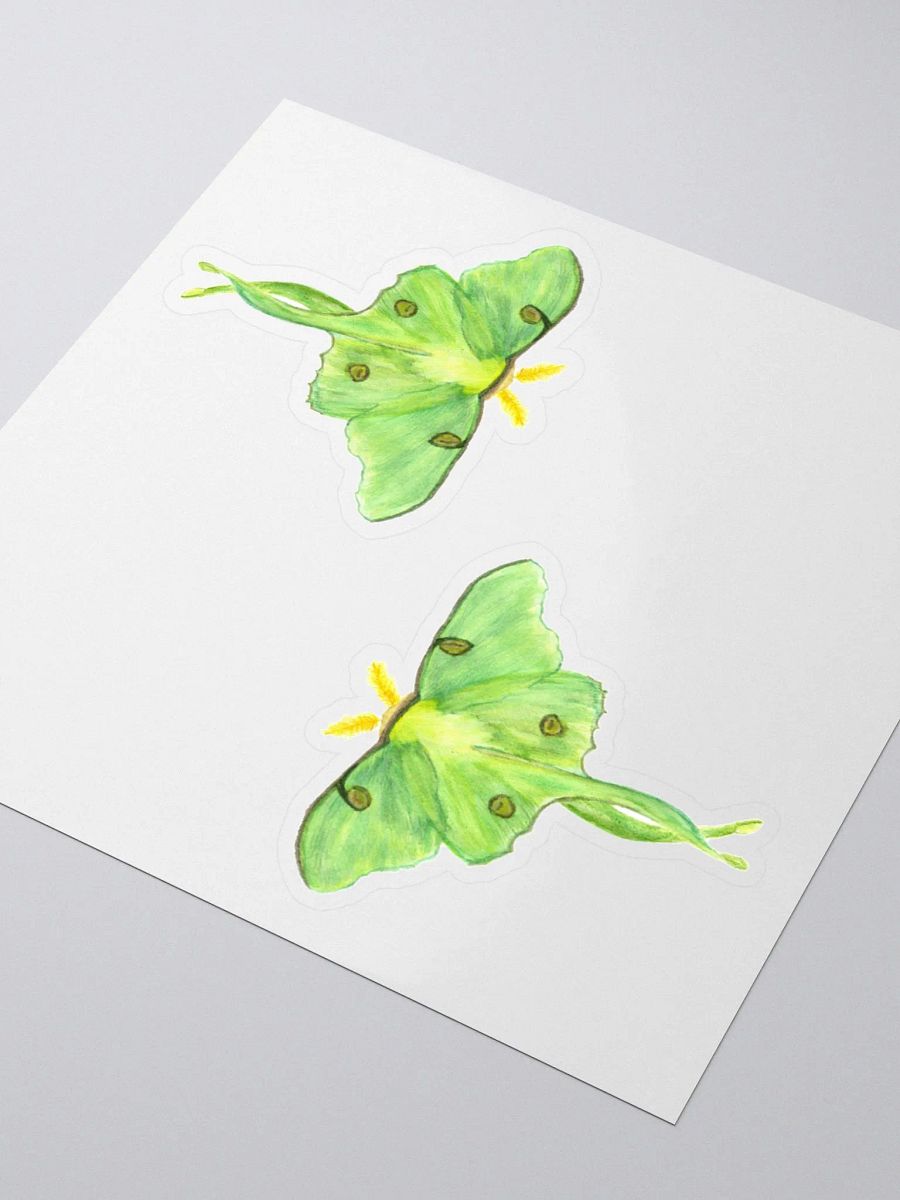Luna Moth Sticker (x2) product image (3)