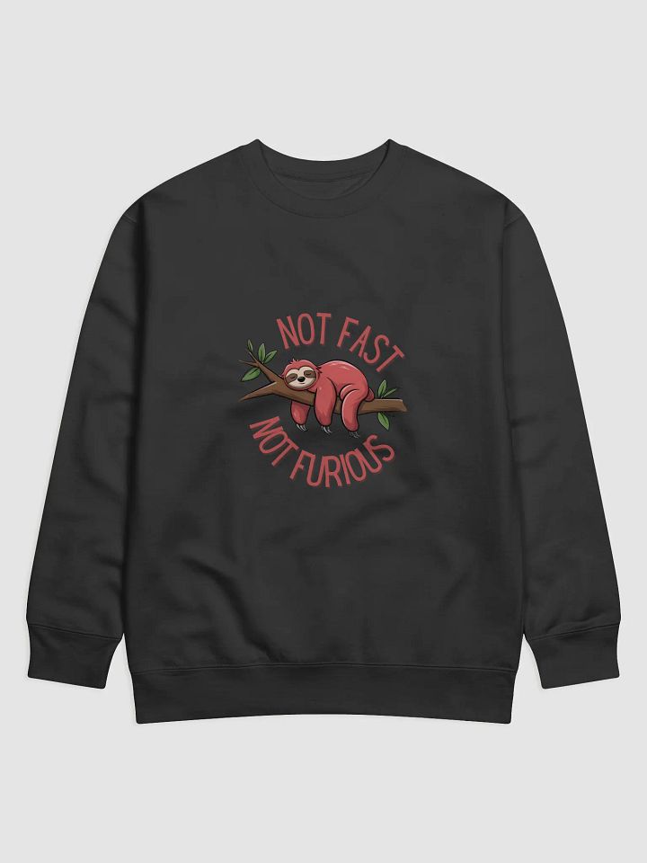 Not Fast Not Furious Sloth Hoodie product image (1)