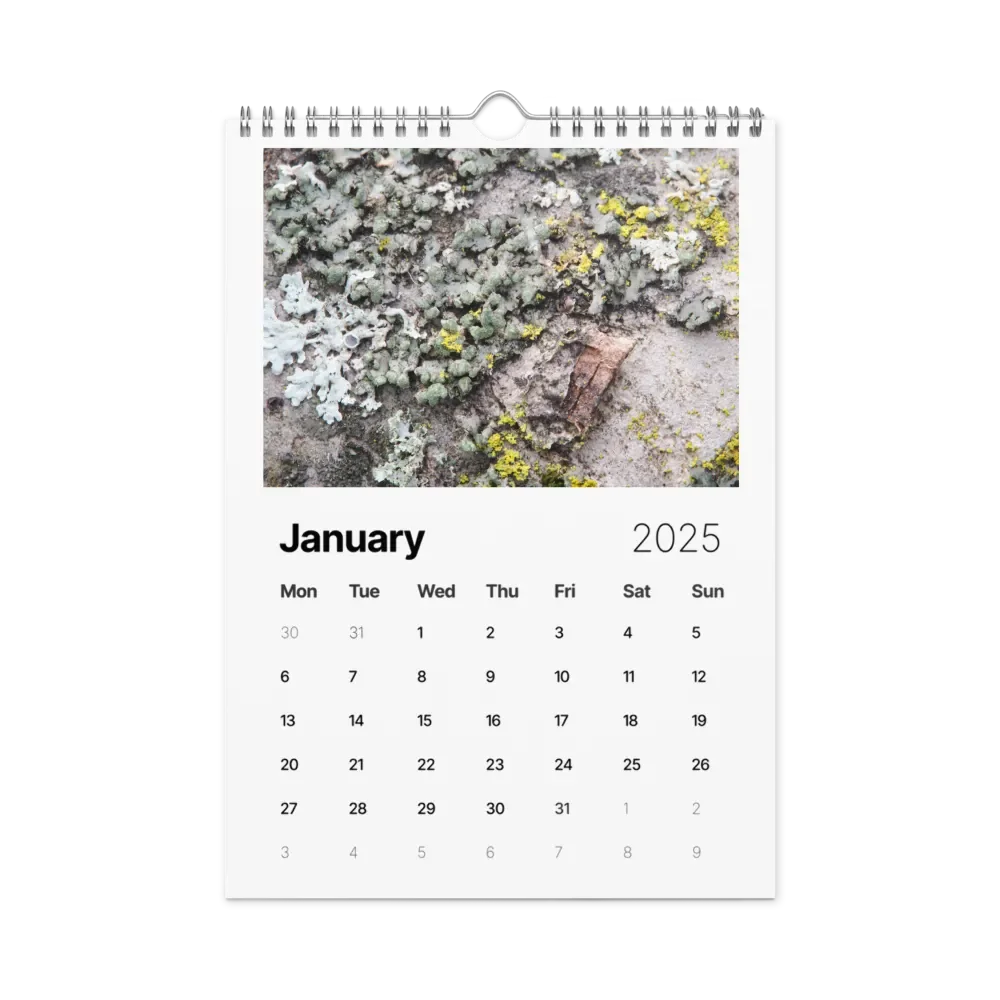 Likin' Lichen 2025 Wall Calendar product image (2)