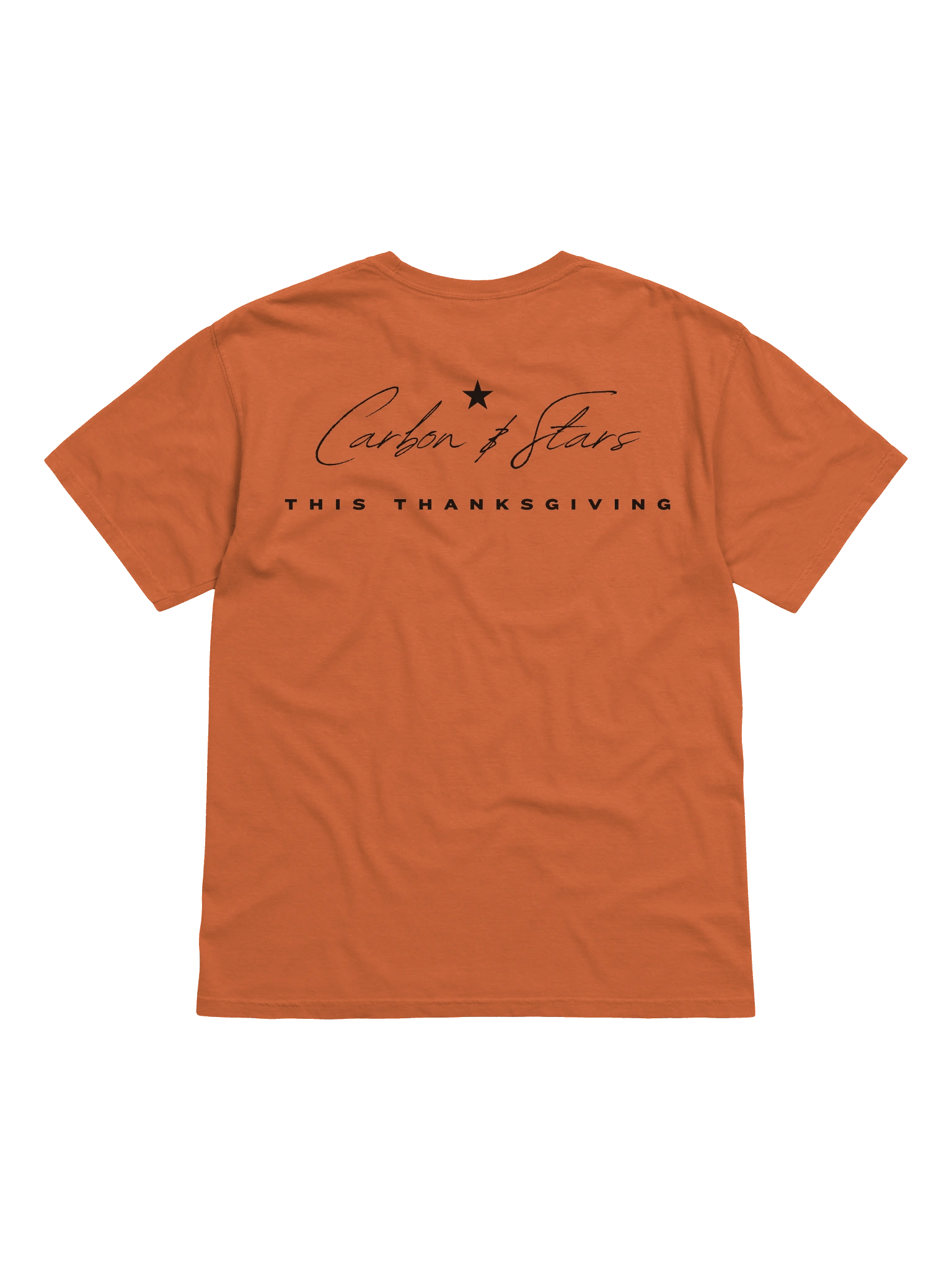 Plain Thanksgiving _ T Shirt product image (10)