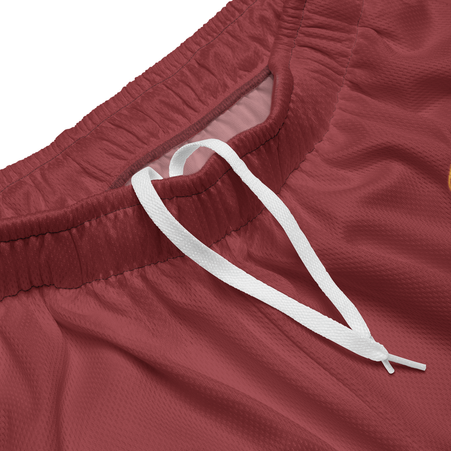 NRG Armageddon Athletic Shorts product image (3)