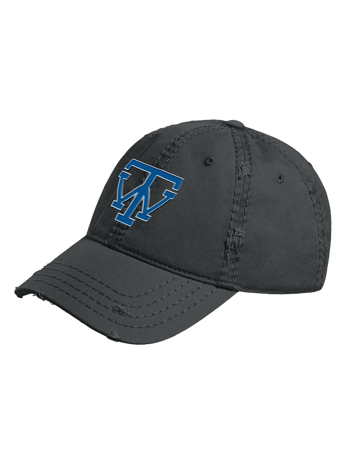 TW Logo Distressed Cap product image (2)