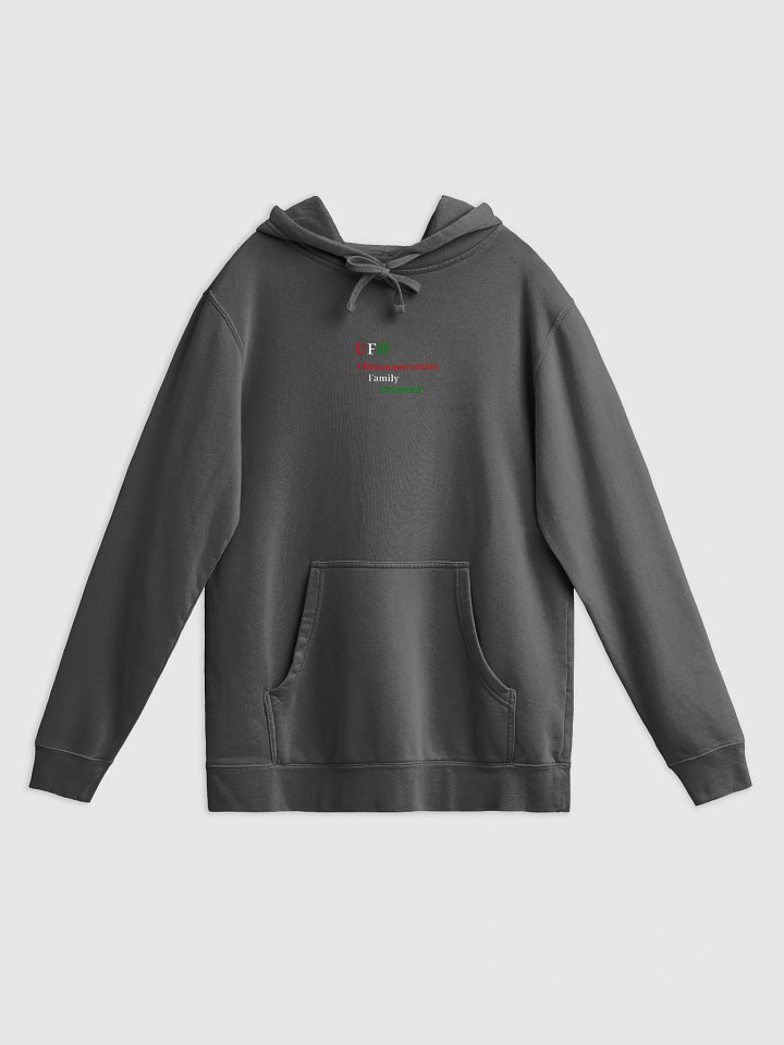 UFO Ultraconservative Family Hoodie product image (1)