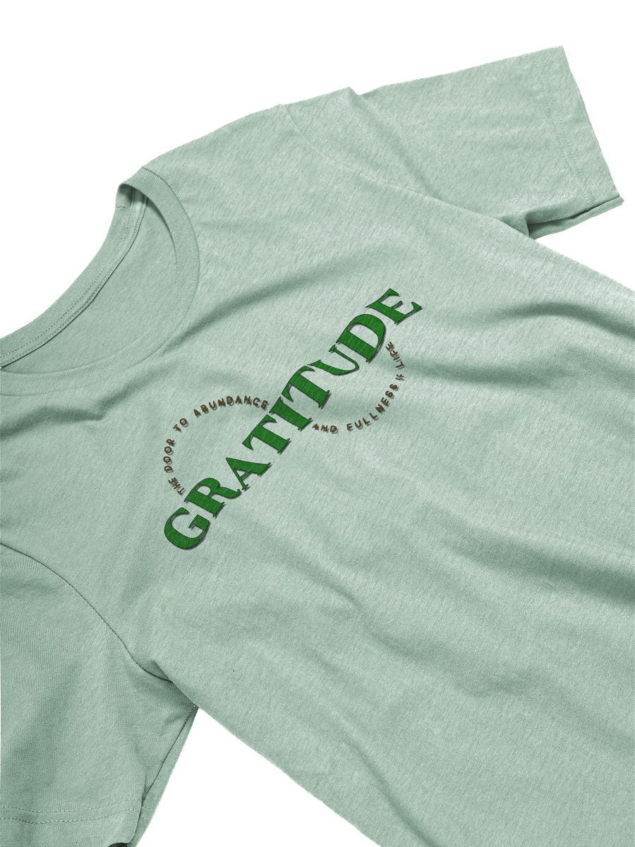 Gratitude Abundance Tee product image (4)