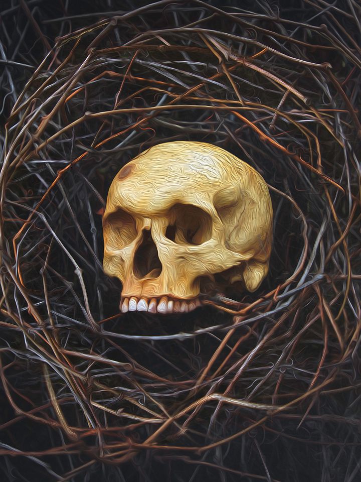 "Skull Nest" - 8x10 Matte Print product image (1)