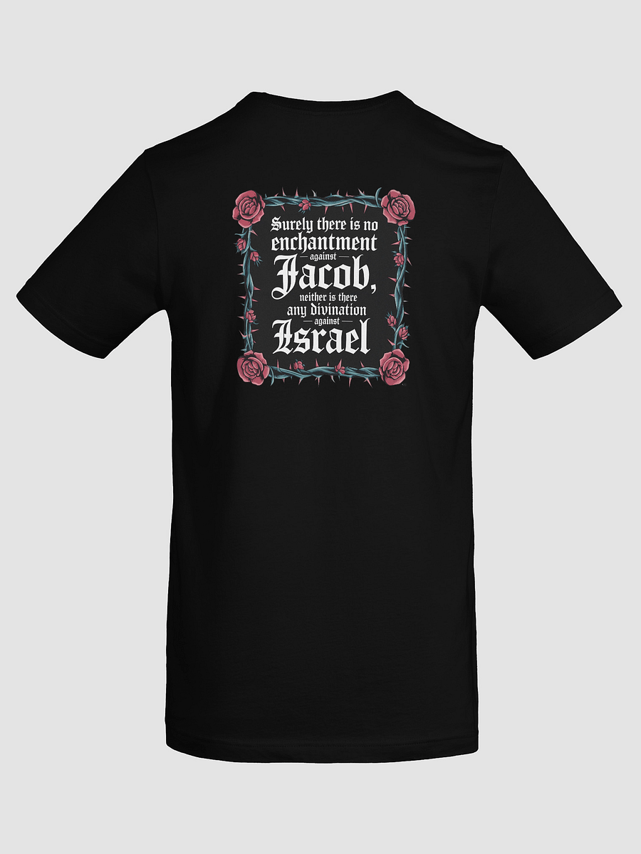 numbers 23:23 tee unisex product image (11)