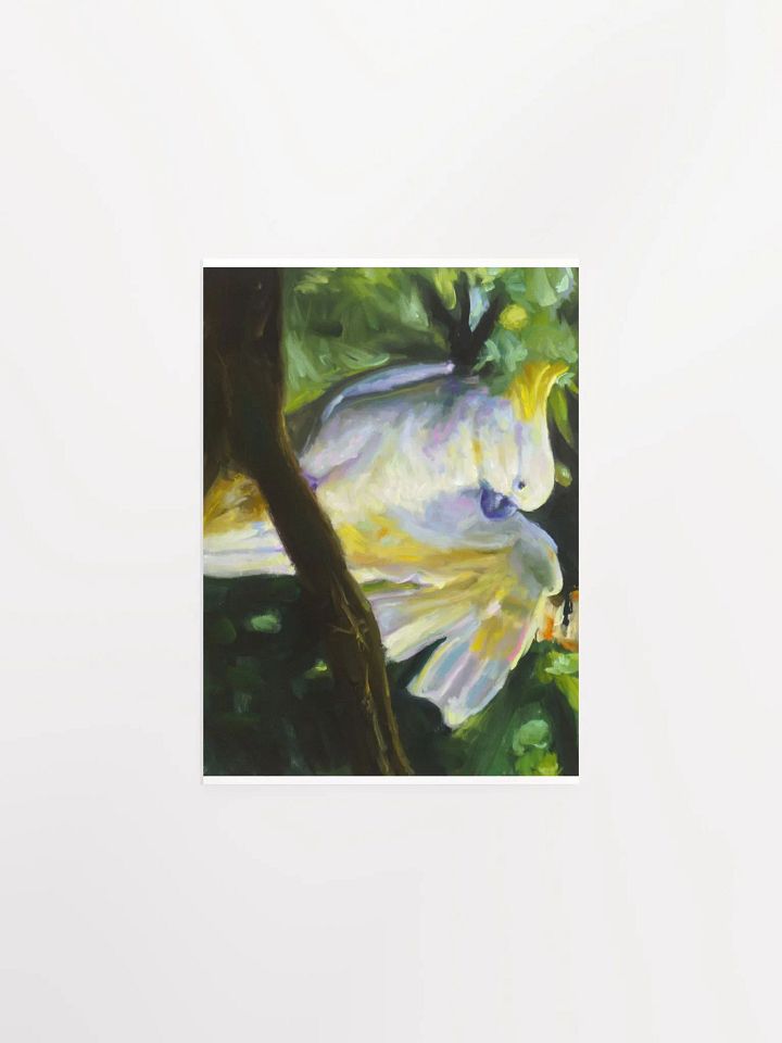 CACKATOO product image (1)