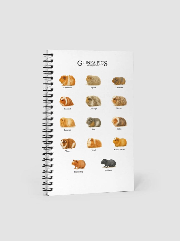 Watercolor Long Haired Guinea Pig Breeds Note Book product image (1)