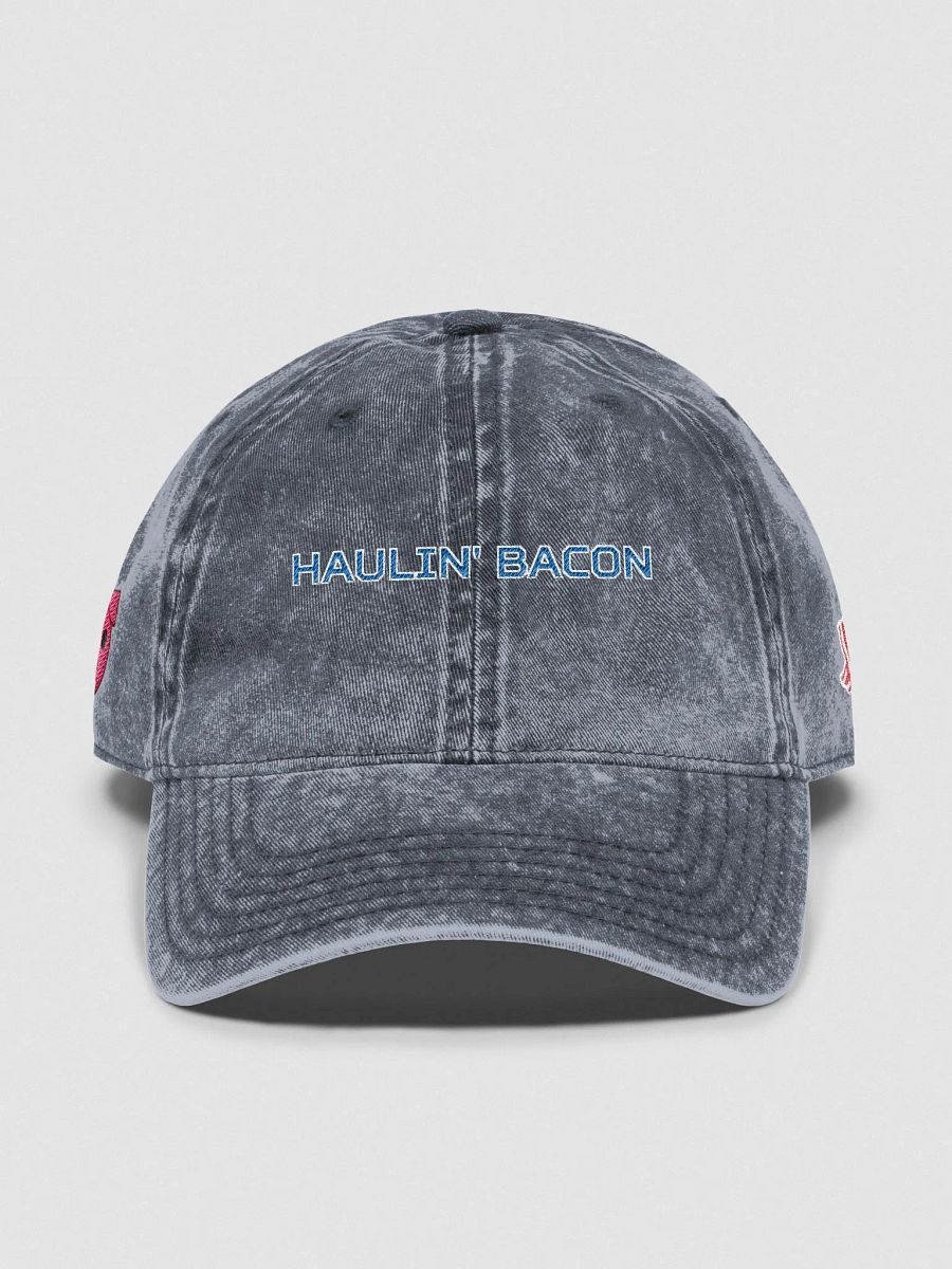 HAULIN BACON DAD HAT product image (4)