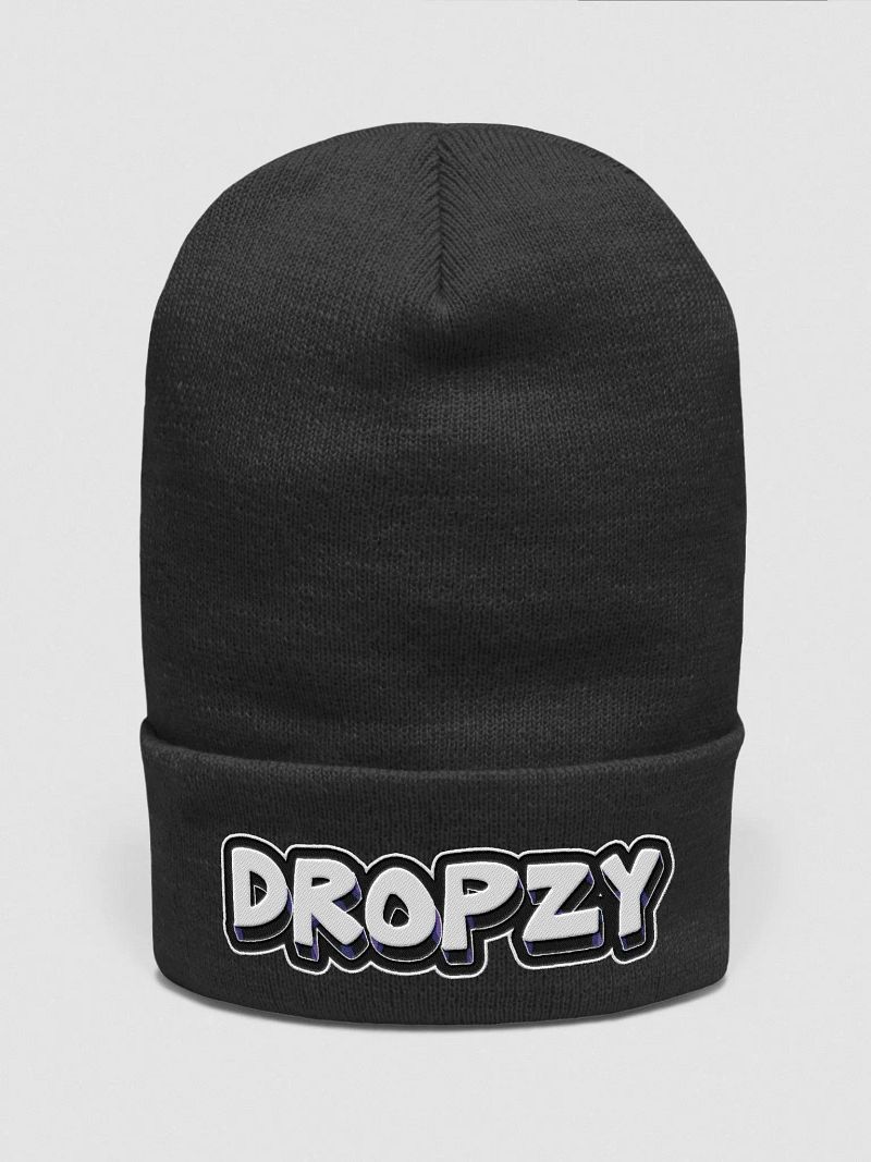 Dropzy Beanie Style 2