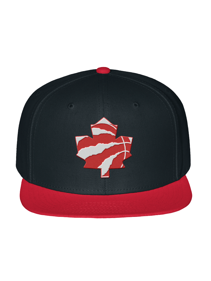 Toronto Dinos Snap product image (1)