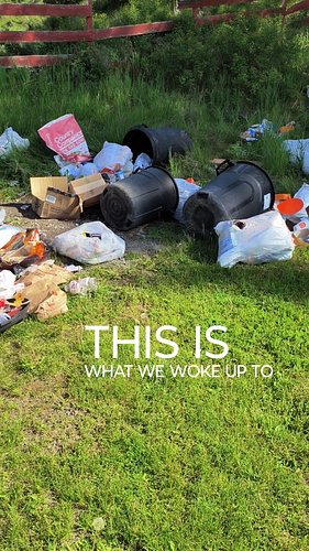 Morning #2 of trash everywhere, thanks bears. 

#homesteadlife #farmlife #homestead #bears #blackbears #trash #trashpanda #wh...