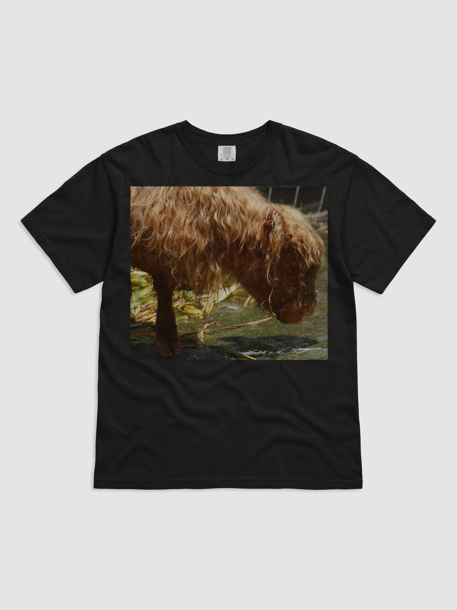 Shaggy Reflections T-Shirt product image (1)