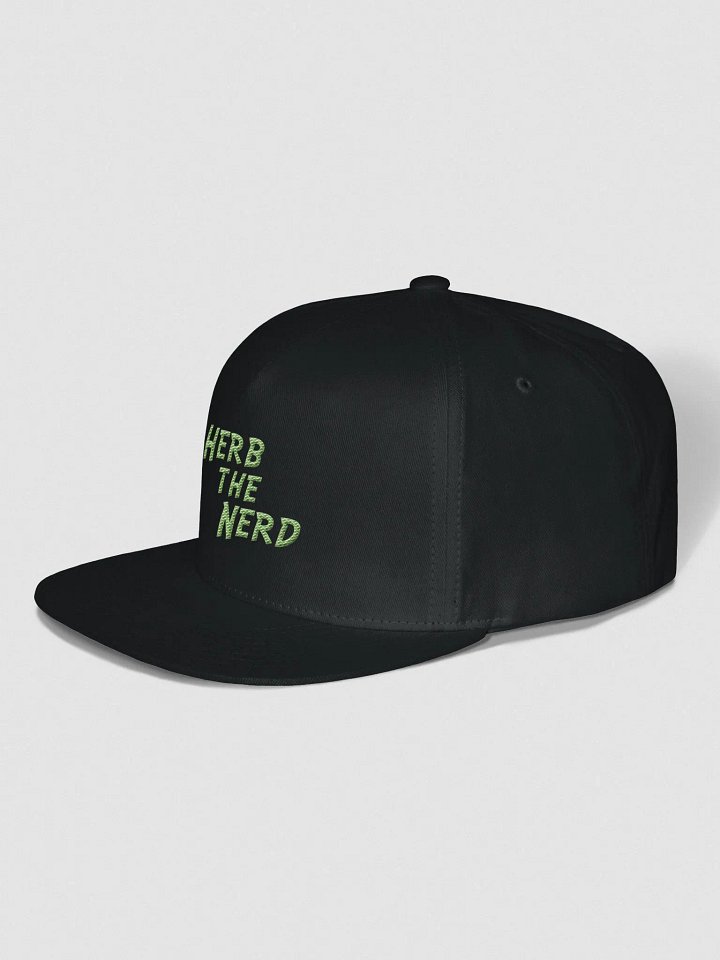 HerbtheNerd Snapback product image (2)