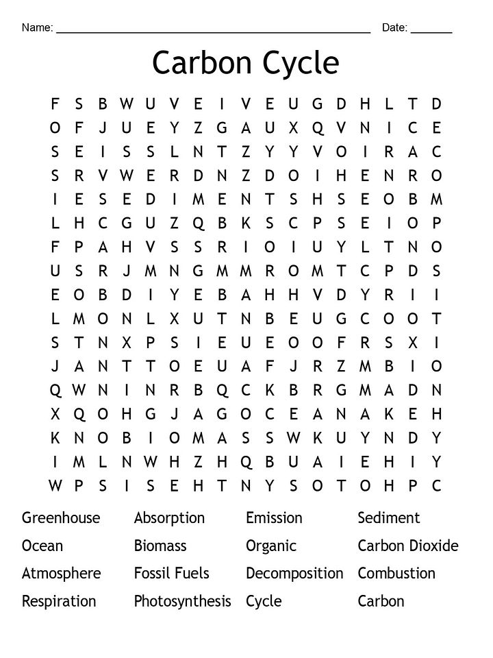 Printable Carbon Cycle Word Search – 16 Key Terms! product image (2)