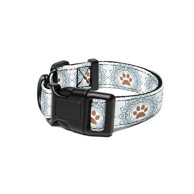 Paws & Reflect Pet Collection