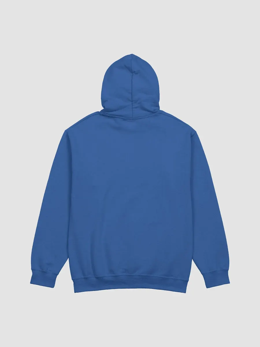 Picky Boys Est. 2019 Hoodie (9 Colors) product image (3)