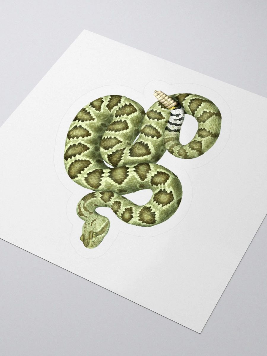 Die-Cut Sticker – Mojave Rattlesnake (Green) product image (3)