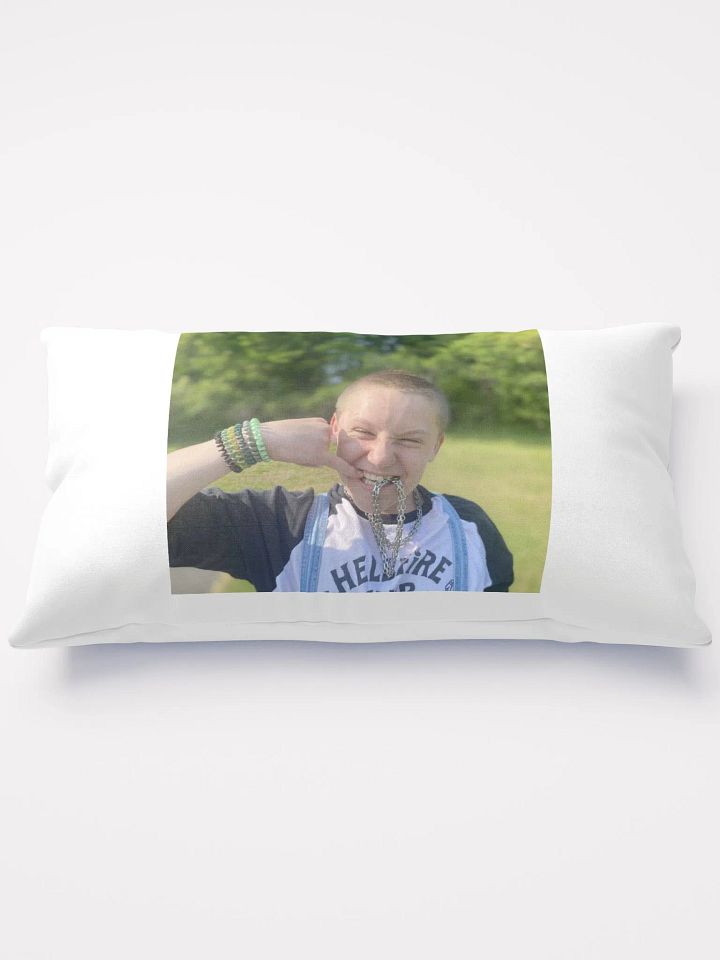 LITTY Alan Pillow product image (1)