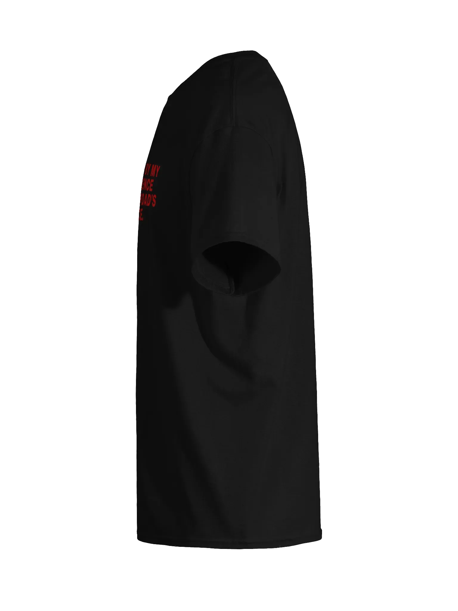 Fucked Up By My Mom's Absence And My Stepdad's Presence T-Shirt product image (10)