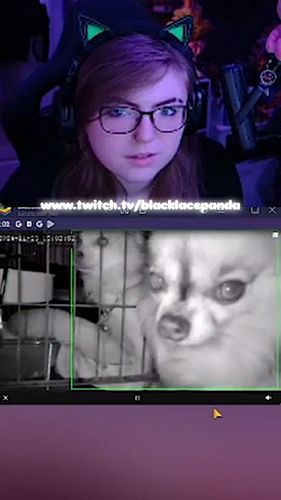 Archer rizzin' up the cam
•
•
•
Check out my Socials 
• Twitch • Discord • Twitter • IG • Snapchat • TikTok •
Link in bio
•
•...