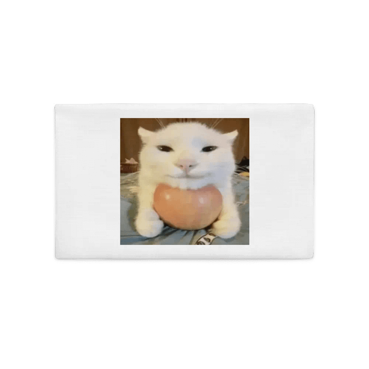 Purr-fect Pillow Delight product image (2)