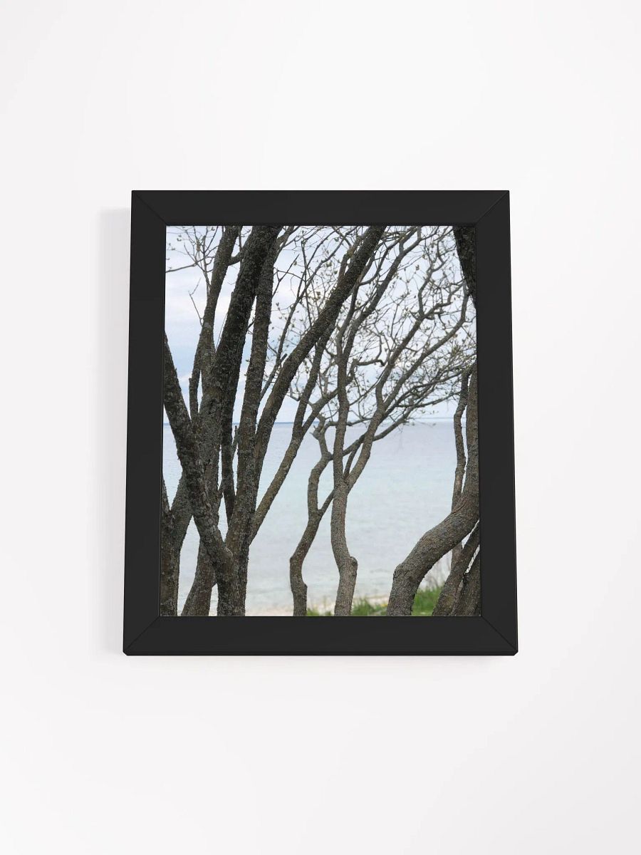 Winding Branches High Quality Matte Poster product image (1)