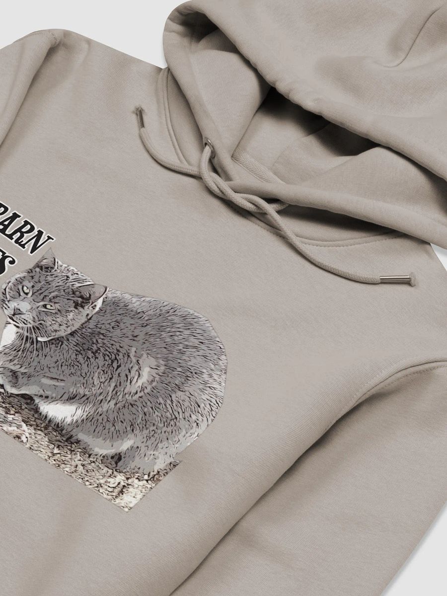 Rustic Barn Cats Eco Hoodie product image (3)