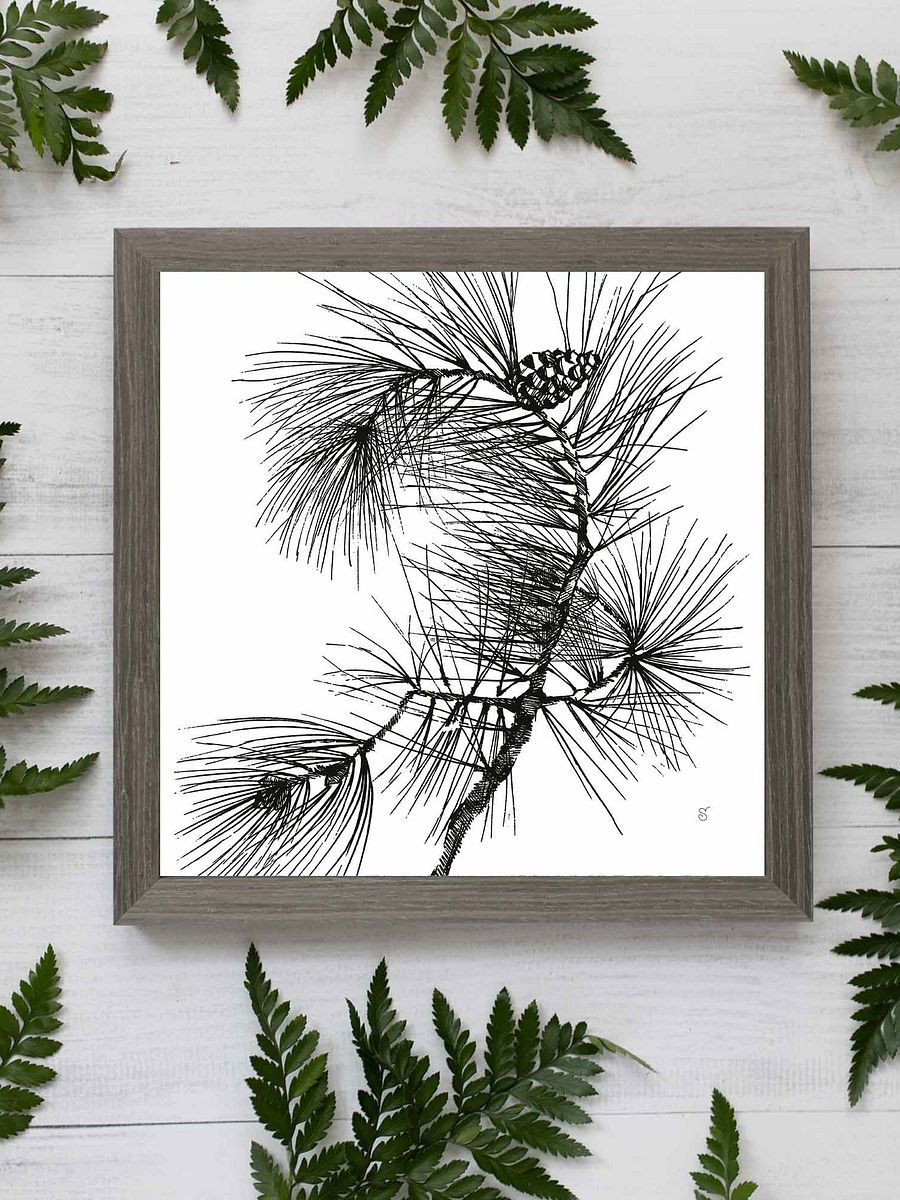 Blank Canvas Collection - Pine Branch product image (97)