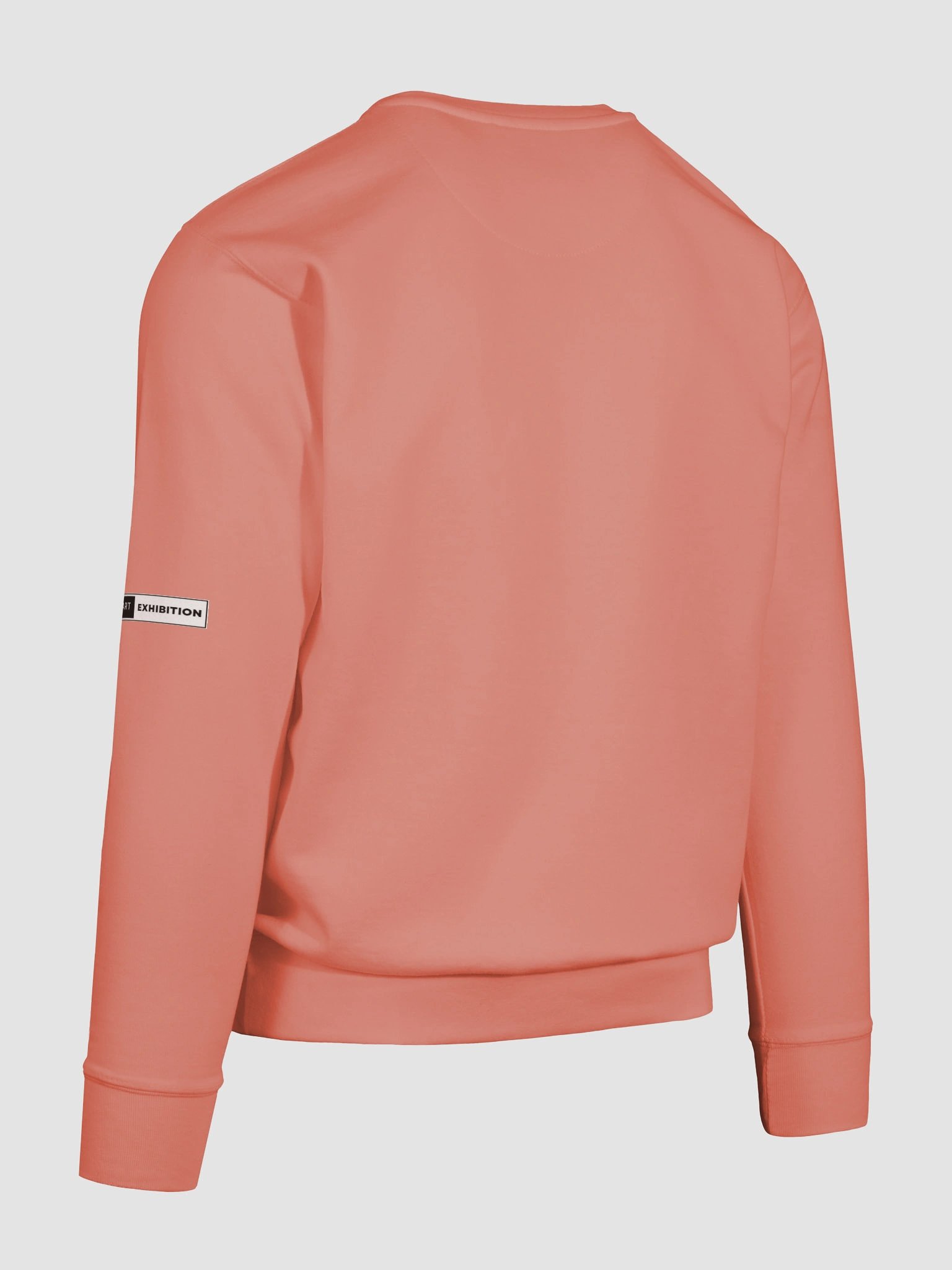 "WE EXIST" premium cotton sweatshirt product image (35)