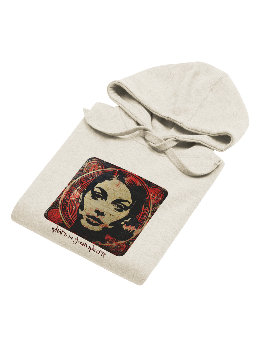 Bitcoin Street Art Unisex Premium Hoodie product image (4)