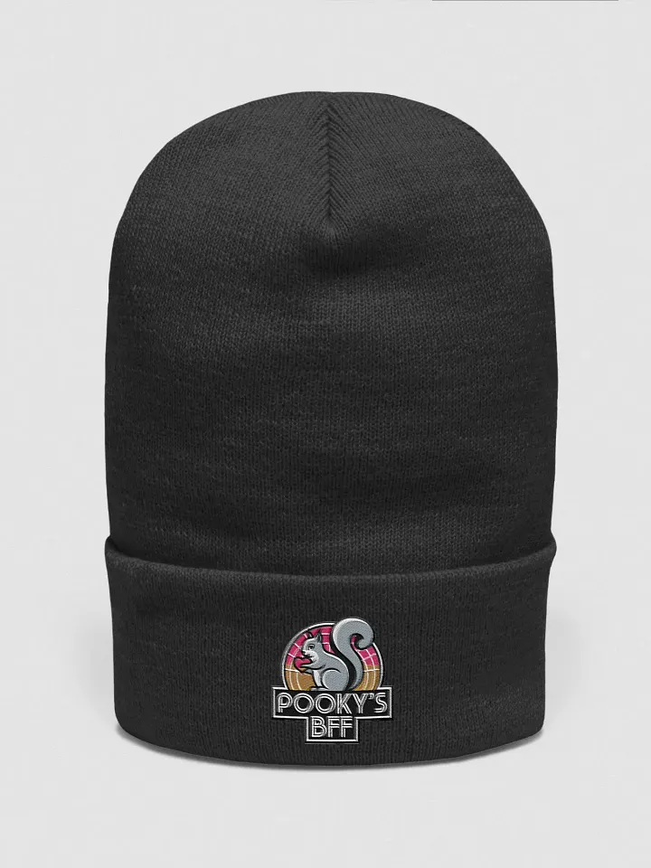 Pooky's BFF Cuffed Beanie product image (1)