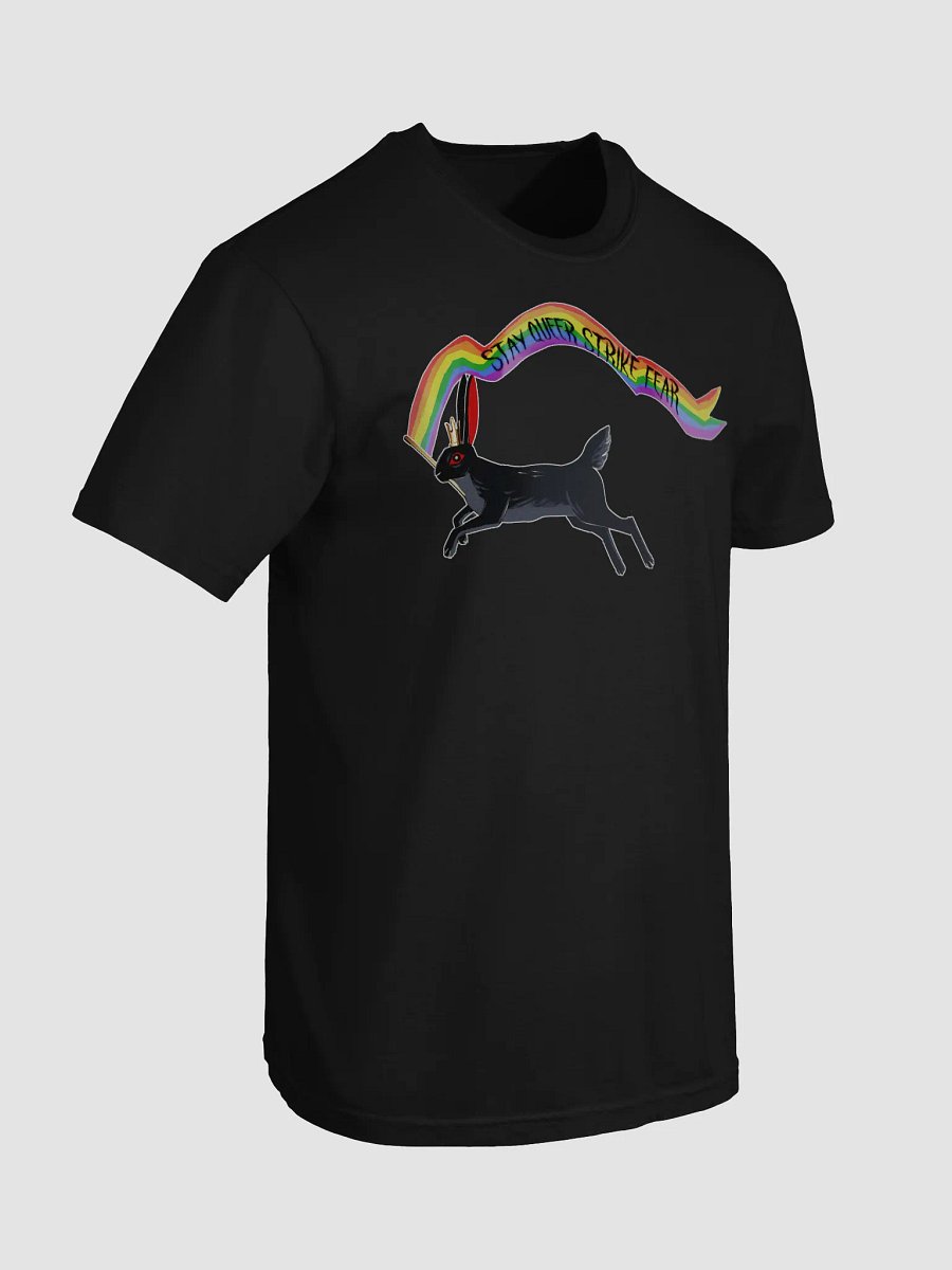 Stay queer strike fear- raindow - Lou shirt product image (7)