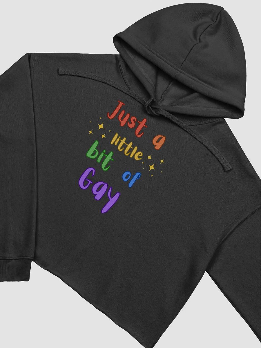 just a little gay crop hoodie product image (3)