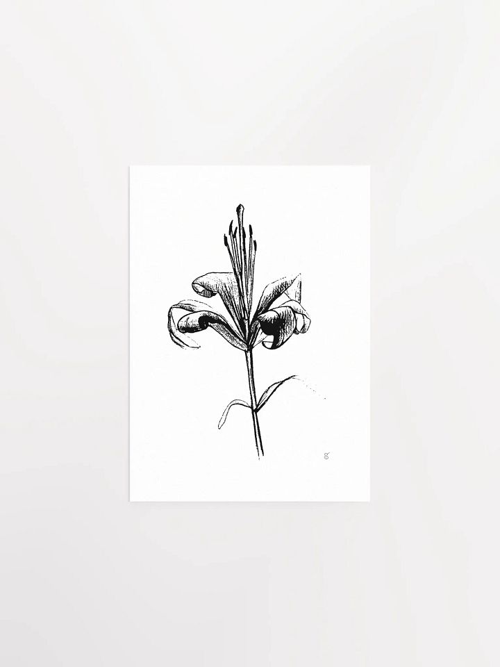 Lily Elegance Poster - Fine Flower Light product image (1)