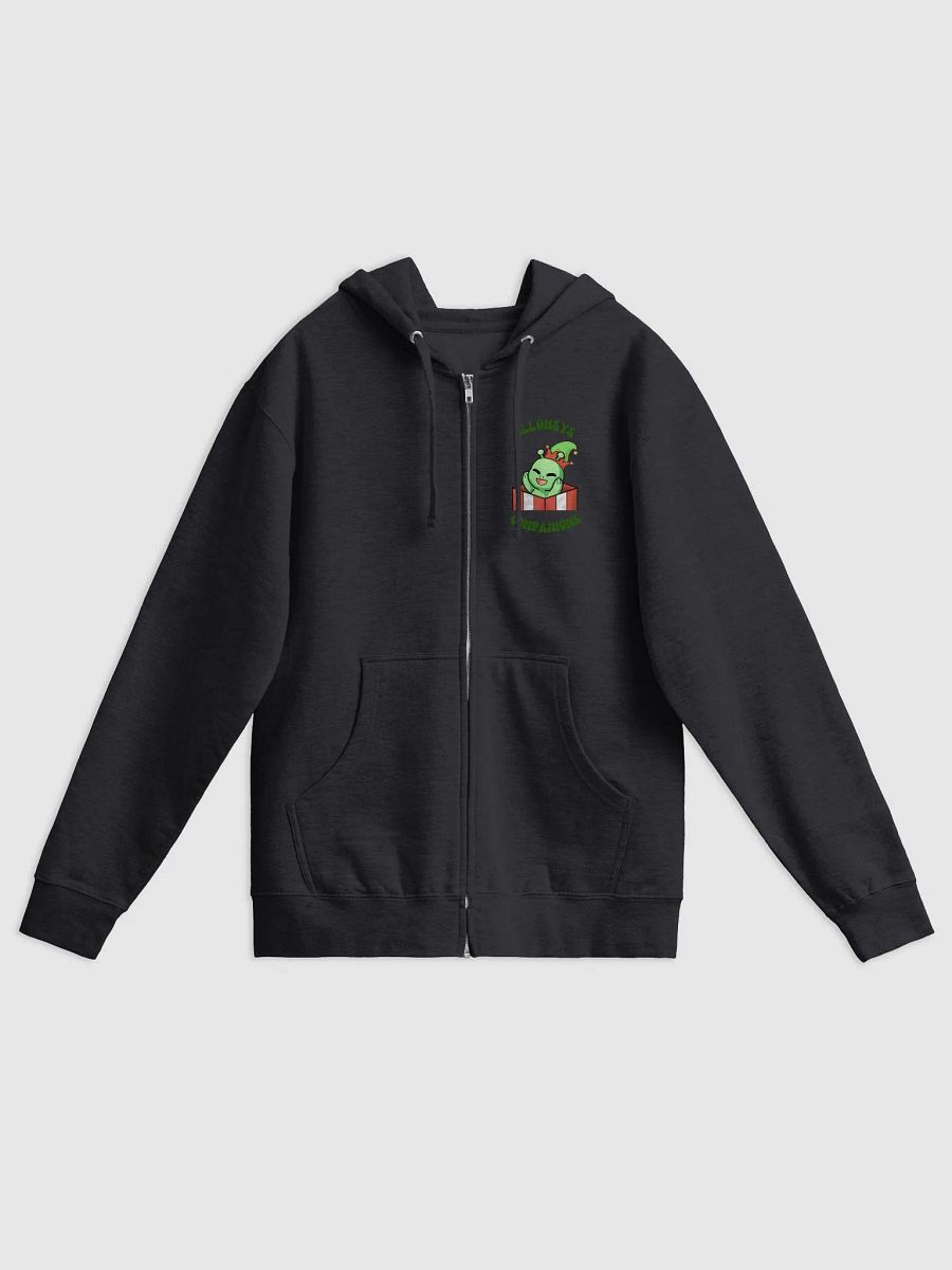 Allonsys Companions Zip Up Sweater product image (3)