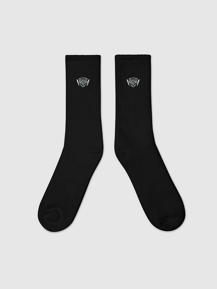 The fancy EMBROIDERED socks! product image (1)