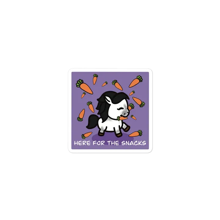 Here For The Snacks Magnet product image (1)