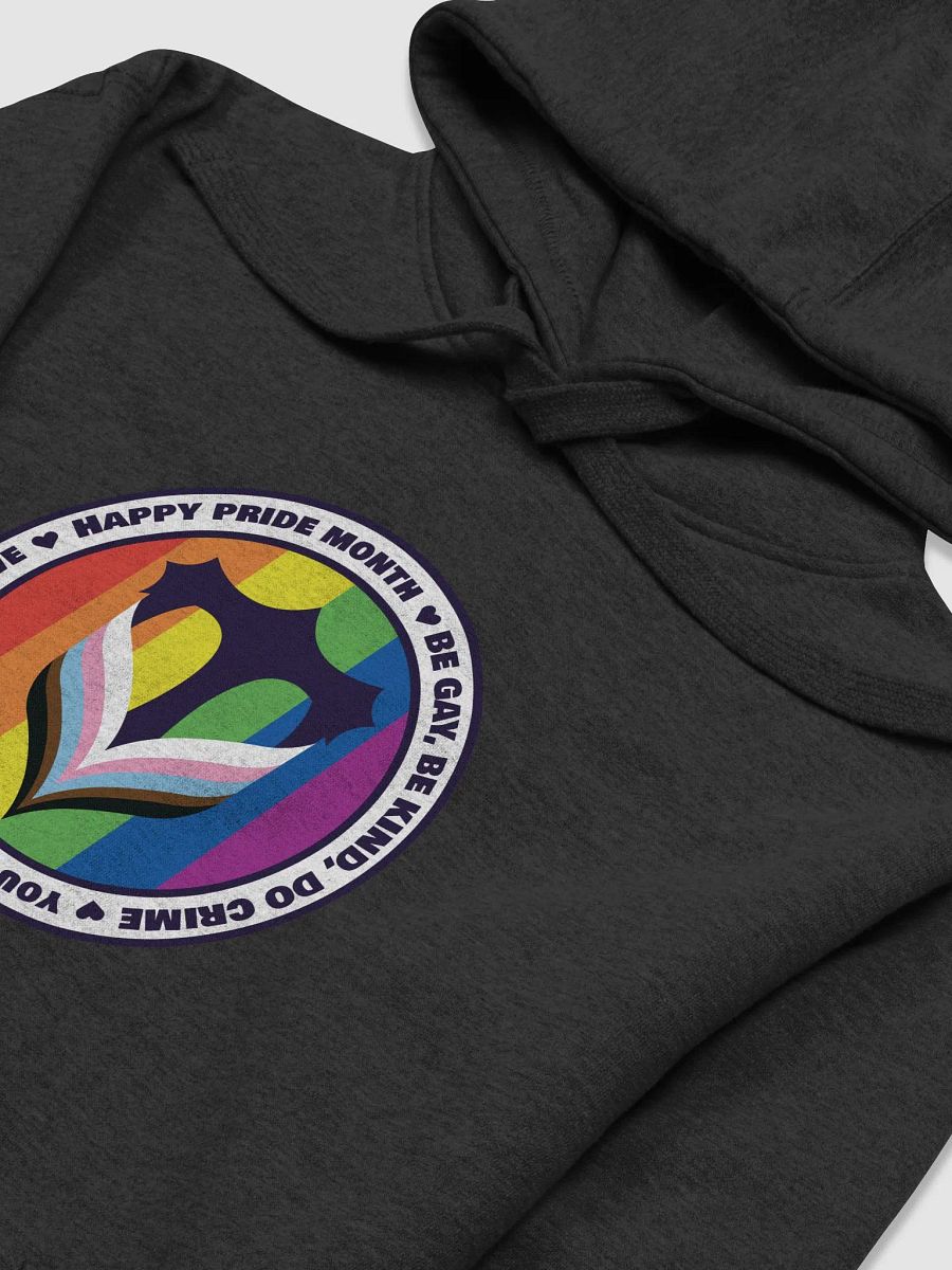 Voice Pride Hoodie! product image (24)