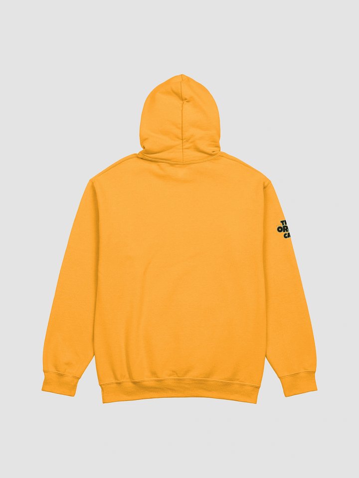 Pawsitivity Hoodie product image (2)