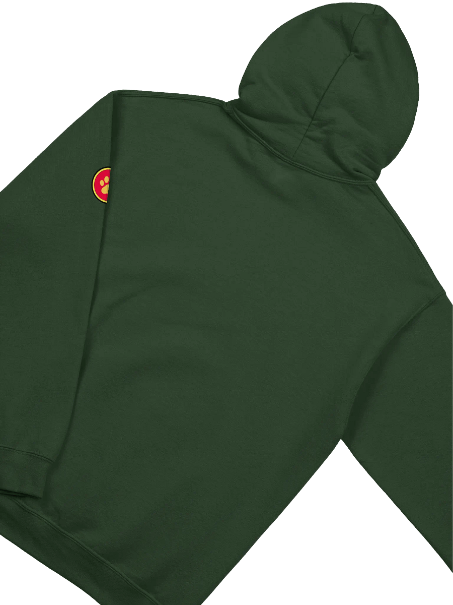 Guild Hoodie product image (4)
