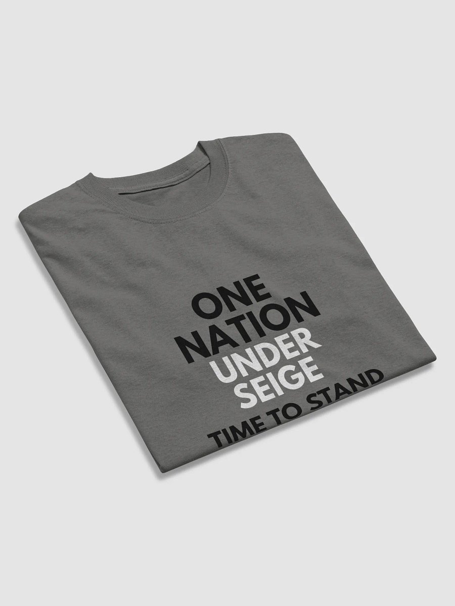 One Nation Under Seige product image (24)