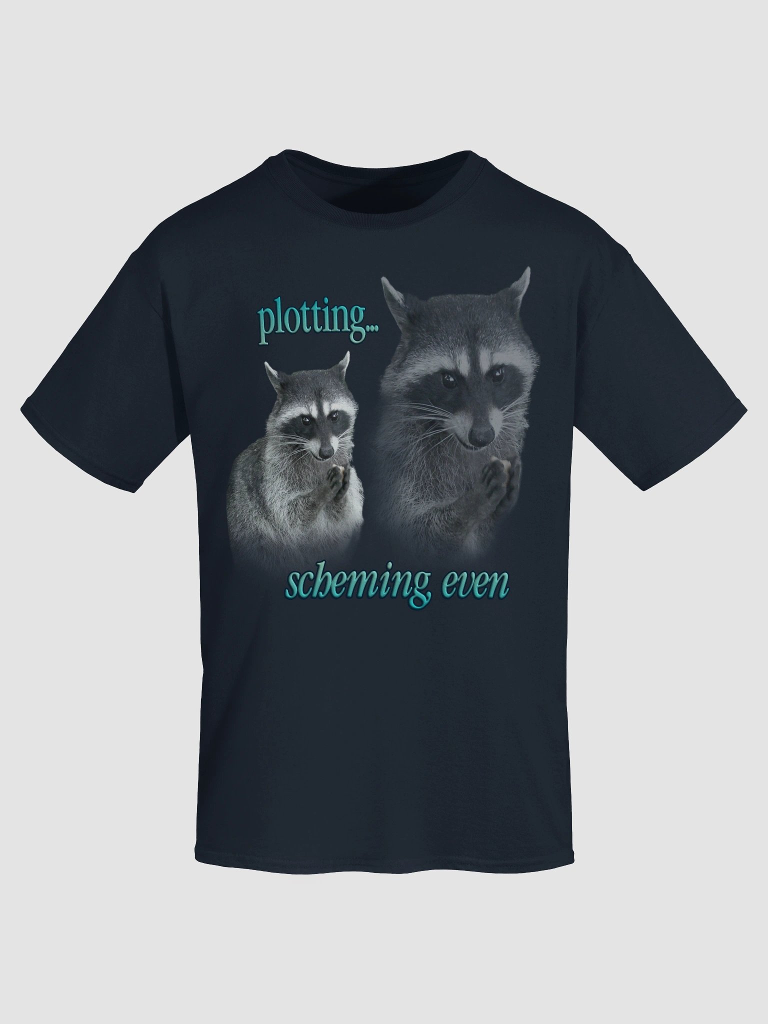 Plotting & Scheming Raccoon T-Shirt product image (7)