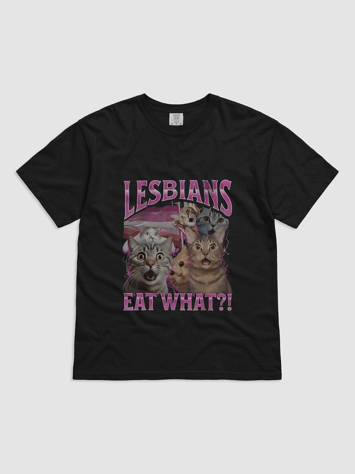 Surprised Cats Lesbians Eat What T-shirt product image (1)