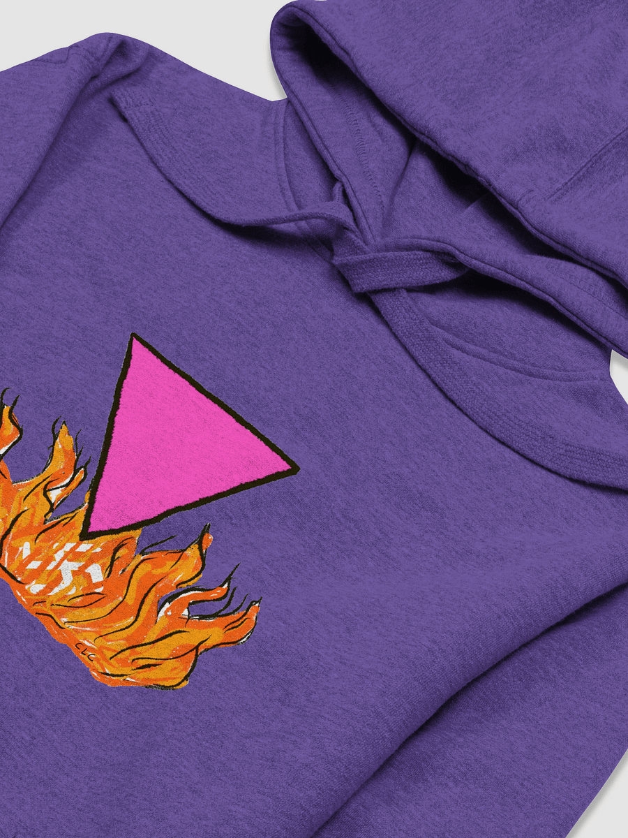 BURN IT ALL DOWN Hoodie product image (15)
