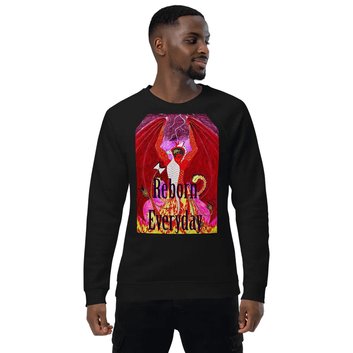Reborn Everyday Dragon Raglan Sweatshirt product image (1)