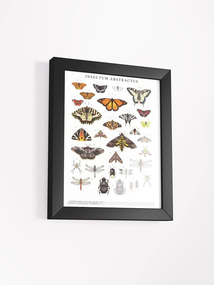 INSECTUM ABSTRACTUS - Framed Print product image (13)