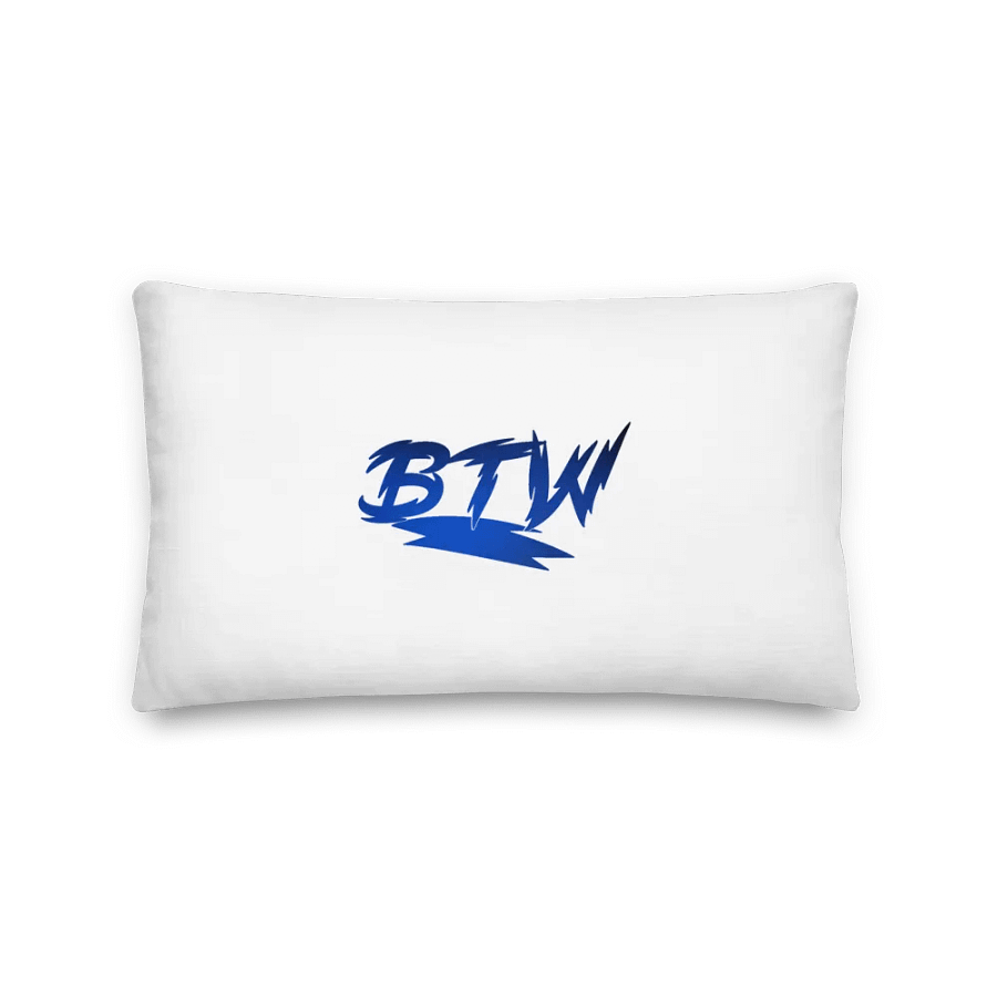BTW Pillows product image (2)